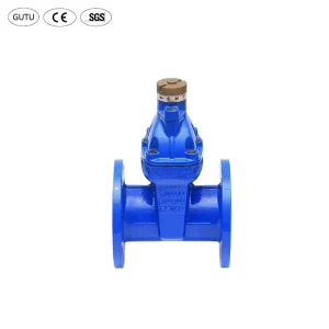 Factory Manufacture Various 4 Inch Cast Ductile Iron Prevent Theft Encryption Sluice Gate Valve