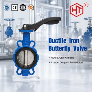 Factory Manufactures Butterfly Valves with Clamp Handles Customized Thickened Cast Steel Valve Body Seats Butterfly Valves