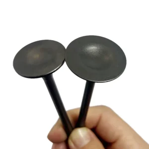 Factory New Motorcycle Engine Spare Parts Valve Chongqing Origin 6 Months Warranty