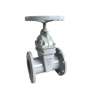 Factory Price DN100 PN16 WCB Flange Type Non Floating Stem Soft Seal Gate Valve