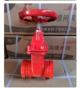 Factory Price PN16 Resilient Seated Gate Valve DN 80 Industrial Grooved NRS Fire Protection Gate Valve