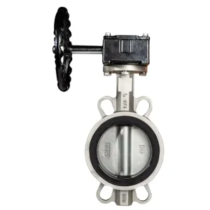 Factory Price Stainless Steel Series Lined Worm Wheel Butterfly Valve DF810 Bd W Manual Power Soft Sealing Wafer Center