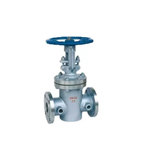 Factory Stainless Steel Jacket Gate Valve