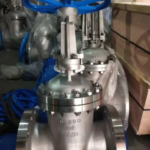 Factory Supplied Stainless Steel Flexible Wedge Gate Valve F304 PN40 DN100 Flanged RTJ OS&Y Gear