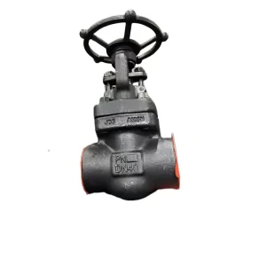 Factory Supply Forged Steel Socket Welding Gate Valve 1/2 in to 2 in Manual Water Oil Gas Treatment Industries