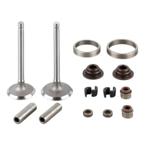 Factory Supply GW Steel Valve Kit Assy for Engineering Machinery Diesel Engine Spare Parts with 1 Year Warranty