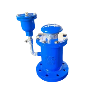 Factory Supply High Speed Ductile Iron Butterfly Structure Manual Vacuum Air Release Valve for Water Applications
