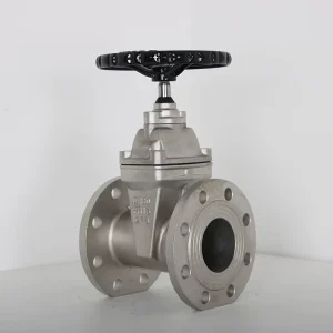 Factory Various Model Stainless Steel Soft-sealing Gate Valve for Water