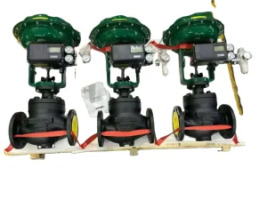 Fail Safe Close With Spring Return Actuator for Burner Management Stainless Steel Control Valve