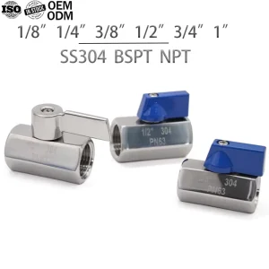 Female Female Mini Ball Valve Stainless Steel Plastic Handle NPT BSPT 1 8 ‘ 1’ Thread Mini Ball SS304 SS316L for Food Water OEM