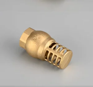 Female Thread Brass Foot Valve Strainer Water Media Check Valve High Quality Brass Body Product