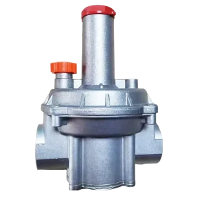 Fiorentini Safety Intermediate Pressure Reducing Valve FMF311620005AD 1IN Hydraulic Gas Regulator OEM Burner System 1 Year