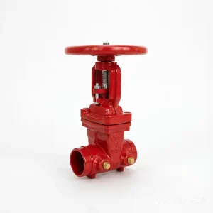 Fire Fighting 2 12 inch Gate Valve Resilient Wedge Os & Y Gate Valve Grooved End Ductile Iron Casting Steel Valve