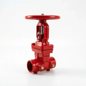 Fire Fighting 2 12 inch Gate Valve Resilient Wedge Os & Y Gate Valve Grooved End Ductile Iron Casting Steel Valve