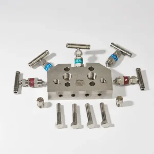 Five-Valve Manifolds SS316 High Pressure 5000psi 2-Way TEE Manual Needle Valve for High Temperature Gas