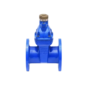 Flange Connection Manual Valves Gauge Front Valve JMZ45X Ductile Iron Magnetic Encryption Gate Valve