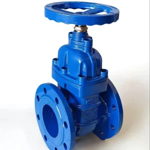 Flange Type Gate Valve with Copper Gland, Hard Sealing