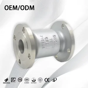Flange Type High Pressure SS304 Stainless Steel Vertical Check Valve Lifting One Way DN50 for Chemical