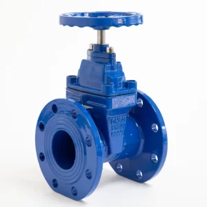 Flange Type Non Rising Stem Soft Sealing Ductile Cast Iron Sluice Gate Valve