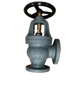 Flanged 5K Cast Iron Angle Valves JIS Standard F7306 Marine Valves