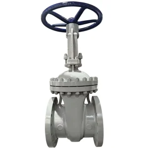 Flanged Bi-Directional PN40 1″-10″ AISI 304/904L Stock Ready Factory Price Stainless Steel Gate Valve