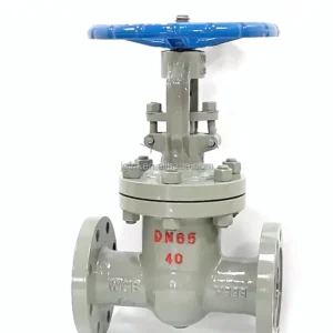 Flanged Connection Cast Steel Rising Stem Resilient Seated Gate Valve