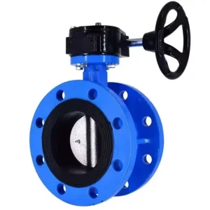 Flanged Manual Gear Butterfly Valve for Water 2in Port Size