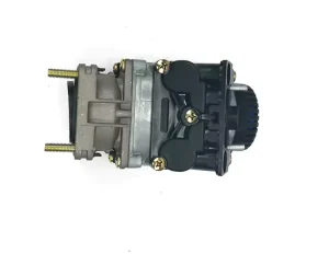 Foot Valve Replacement for Trucks Part Numbers 4614945000 5010260338 Model Reach Certified Made Jiangsu