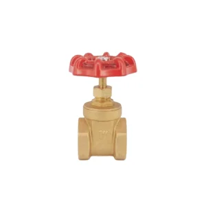 Forged 57 3 SW Brass Gate Valve with Iron Hand Wheel BSP Thread PN20 for Water Use in Home Kitchen