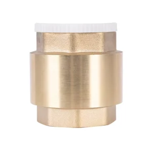 Forged Body Stainless Steel Check Valve Spring Vertical One Way Brass Check Valve Foot Valve for Pump
