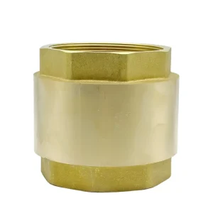 Forged Brass Threaded Anti Backflow Valve Spring Loaded Vertical Check Valve DN32 for Domestic Horizontal Water Pipe