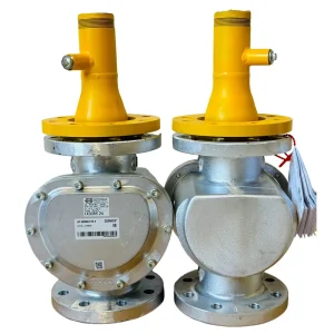 Forged Customized DN50 Pipeline Natural Gas Flange Fittings Anti-Corrosion Paint Surface Treatment Gas Pressure-Reducing Valve