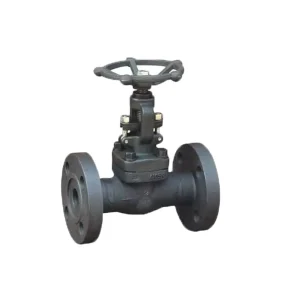 Forged Globe Valves Forged Steel Globe Valve DN15 DN50