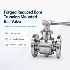 Forged Reduced Bore API 6D Trunnion Mounted Ball Valve with Lockable Handle for Oil Gas Pipeline Service
