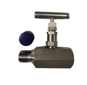 Forged Stainless Steel Hexagonal Female-Male Thread Needle Valve 1/2 Inch SS316 1/2 Inch NPT