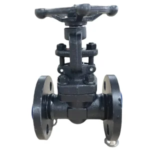 Forged Steel Flanged Globe Valve A105 Manual Stop Valve for Water Applications OEM Customizable