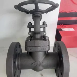 Forged Steel Globe Valve Flange End RF 800 LB 2 Inch A105 Hand Operated
