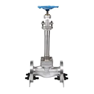 Forged Steel Manual Water Gate Globe Valve 800LB High Pressure Cryogenic 196C NPT Threaded Socket Weld Ends ANSI Standard