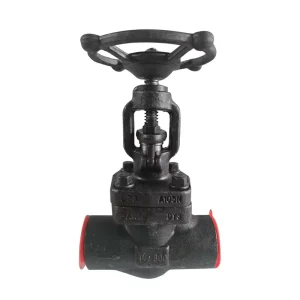 Forged Steel Socket Weld Threaded Globe Gate Valve J61H J11H 16 800LB High Temperature Steam Valve