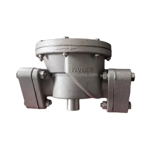 French DN40 Gas Station Check Valve Anti Siphon Valve