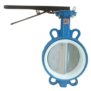 Full PTFE Lined Wafer Butterfly Valve GGG50 Ductile Iron Body Chemical Resistant Valve for Corrosive Media