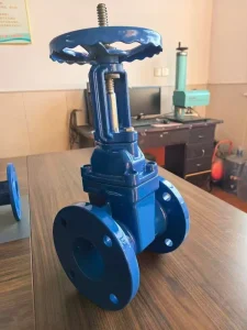 GB DIN BS ANSI GOST Standard 4 Inch Water Gate Valve Flanged Grooved Manual Soft Seal Metal Seal