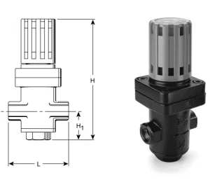 GD30 Direct Acting Pressure Reducing Valve Various Applications Including Laundry Dry Cleaning Hospital Equipment