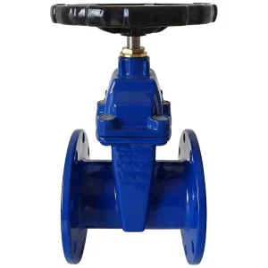 GGG50 Ductile Iron Gate Valve DIN3352 F4 Flanged PN16 EPDM Sealing Resilient Seated Water Treatment Municipal Supply Blue