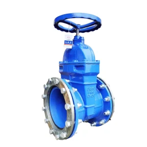 GGG50 PN10 PN16 Z45X Flange Type Non Rising Stem Soft Sealed Ductile Iron Gate Valve