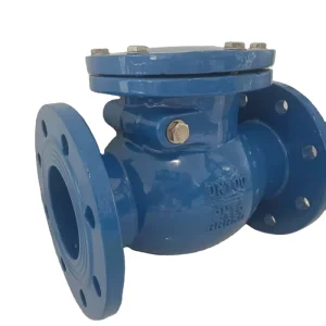 GGG50 PN16H44T Swing One-Way Check Valve Flange Check Valve for Water Medium