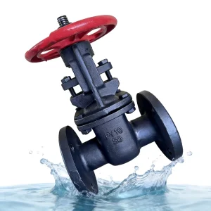 GOST 30ch6br Gate Valve Cast Iron PN10 Py10 Parallel Double Disc Brass Trim Hard Sealing Industrial Fluid Control GG18