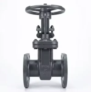 GOST 30s41nzh PN16 Carbon Steel Gate Valve DN80 DN200 Flanged Manual Gate Valve for Municipal Water Supply Sewage Pipeline