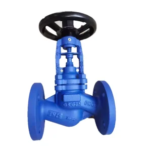 GS C25 DN25 PN40 Bellow sealed Globe Valve Transfer DIN Steam Heat Oil Valves