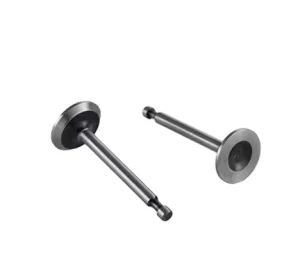 Gasoline Engine Intake and Exhaust Valve Set for Water Pump Replacement
